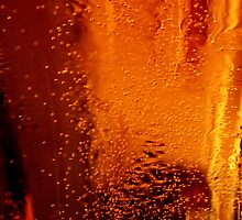 The Liquid Amber by Sandy Sutton
