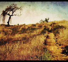 The Secret Pathway To Aspiration by Brett Pfister