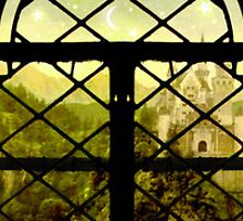 The Window by Brett Pfister