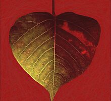 Burning Love by iamelmana