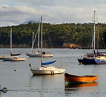 Quarantine Bay at Eden by Darren Stones