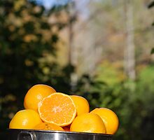 Natures Sweetness by Sunshinesmile83
