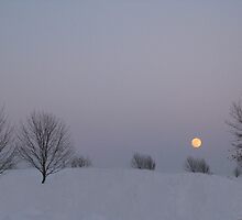 Moon Shining Over The Snow by Linda Miller Gesualdo