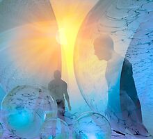 Out of the cold by Carol and Mike Werner