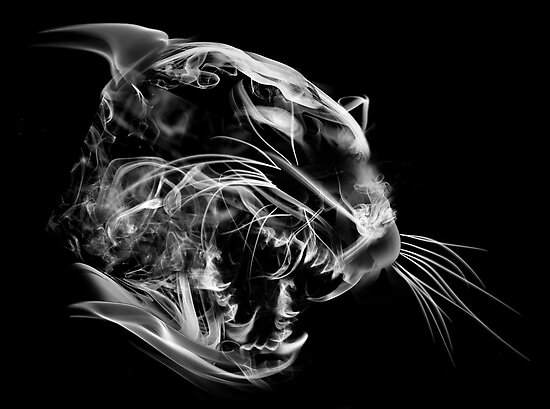 Smoke Tiger