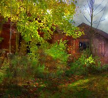 Hidden Treasure by Sharon Batdorf