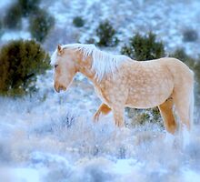 Liberty Stallion Of The Great Basin by Jeanne Nations