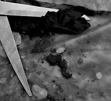 Evidence 4 by Alan Brazzel