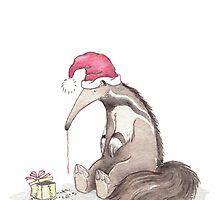 A Happy Day for Mr. Anteater by mevagh