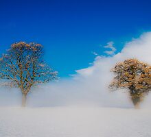Snowstorm by marc melander