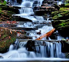 Little Ricky Falls # 2 by Debra Fedchin