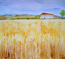 Wheat Fields by Sandrine Pelissier