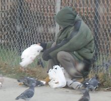 TEMP 37 glad people feed the birds by activtist