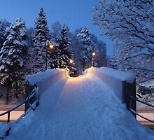 Winter In Suburbia II by HELUA