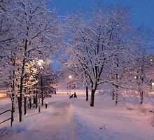 Winter In Suburbia I by HELUA