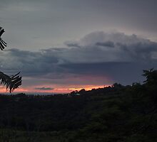 Morning storm clouds by Odille Esmonde-Morgan