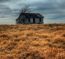 Desolation by Terence Russell