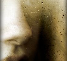 Looking through the Facets by Nicola Smith