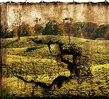 landscape with the ladder by olga hutsul