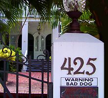 425 Bad Dog by Ginny Schmidt