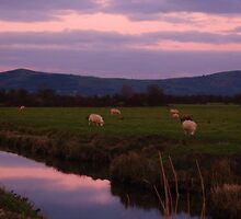 Evening following the setting sun by Meladana