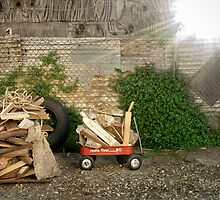 Inadequate Tools: The Wagon by Maria del Rio