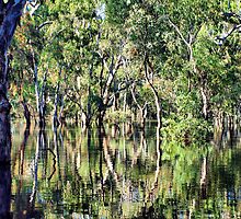 Even in destructive floods, beauty can be found by Clive