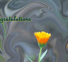 Congratulations Card -To Vigor And Jeanlphotos by Terrie Taylor