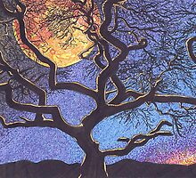 Hallowed Eve by Sally O'Dell
