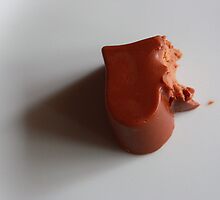 half-eaten or heart-broken? by Indrani Ghose