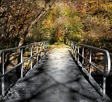 Things are Brighter on the Other Side by Robin Webster