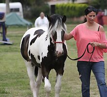 Behind the Scenes: Royal Melbourne Horse Show by PonyPix