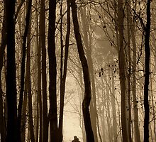 Deep within woods by www.romansolar photography.com