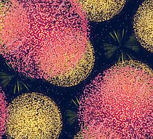 Pink and Yellow Fireworks by clearviewstock