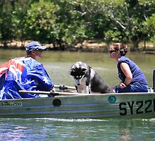 Spirit of Australia Day by aussiebushstick