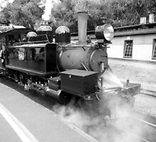 Puffing Billy will depart from Belgrave Platform 1 in 15 minutes by TonyCrehan