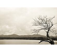 Lands cape panorama by bnzn