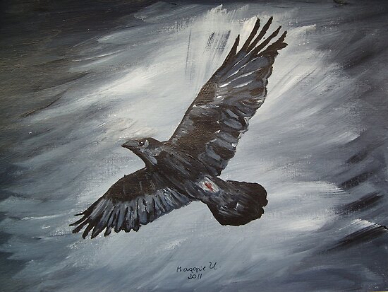 A Black Raven