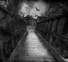 Bridge over troubled waters by Nicola Smith