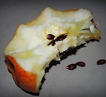 Apple Seeds by Jonice