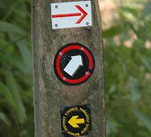 All I need is a clear direction in life... by buttonpresser