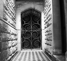 The Dark Entry by Dave Godden