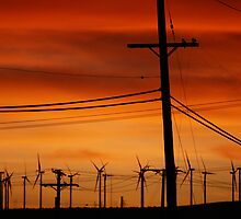 Mojave Sunset by Harry Oldmeadow