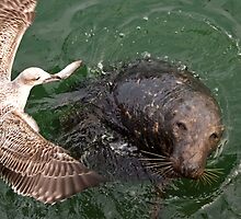 Snatched From the Jaws of Success by Nicholas Jermy