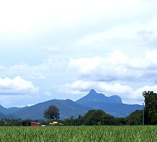 Mt Warning by Jan Stead JEMproductions