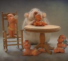 Rosie 's first day as a real babysitter by Ellen van Deelen