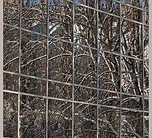 *phenomenon of "déjà vu"* or failure of the matrix by VallaV