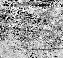 Winter Lines by Dragomir Vukovic