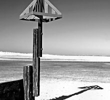 To the Sea by Gerry Balding