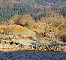 Precipice walk No 2 by StephenRB